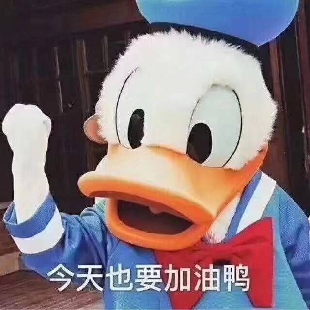 101626lzkwummukhnkmn8d.jpg