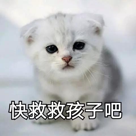微信图片_20190521134514.jpg