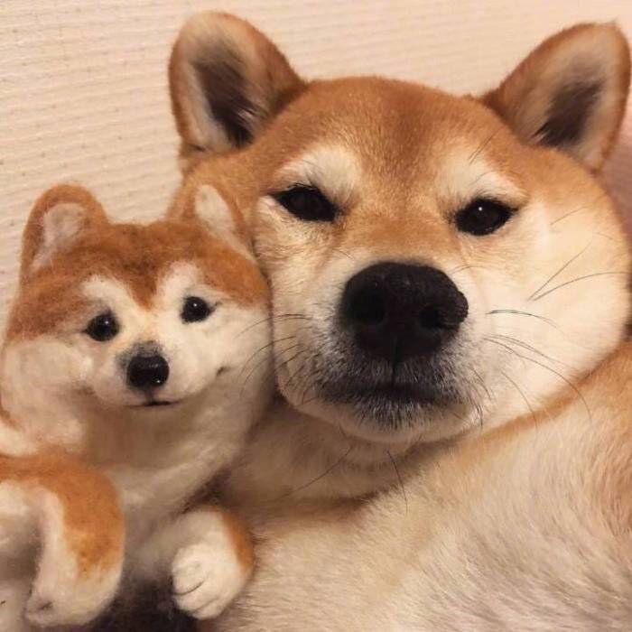 001257zyqifjcuxkjkjxuy.jpg